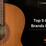 Top 5 Guitar Brands in India