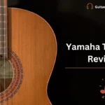 Yamaha TRBX174 Review